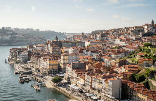 Automotive Experience from North to South Argentineans Leaders