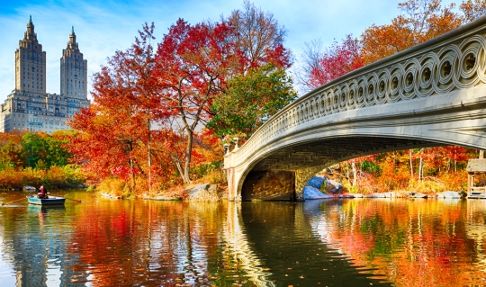 Fall is bursting with events for everyone 