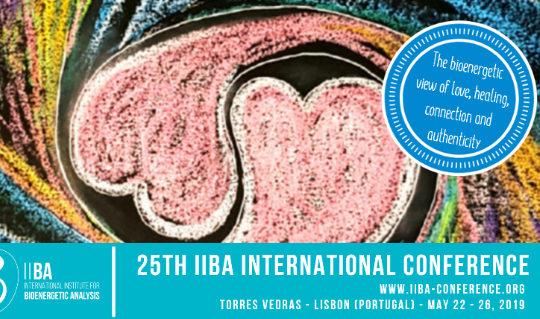 25ª Conferência do IIBA