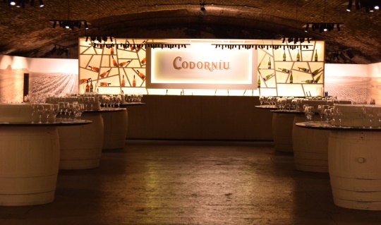 Mesmerizing Vineyards of Penedès Region