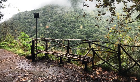 Discover the mountainous marvels of Madeira