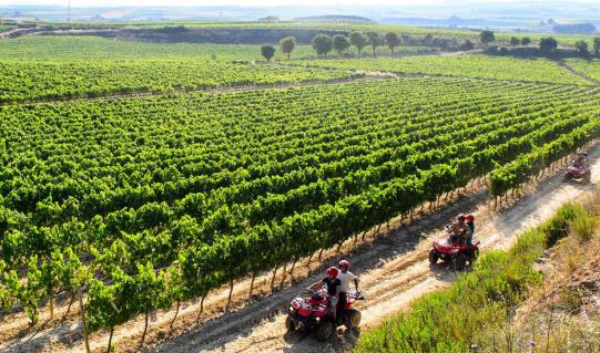 The adventurous vein of Bilbao