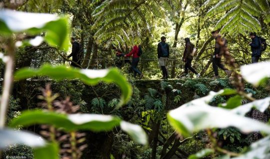 Azores won the “100 Most Sustainable Destination”