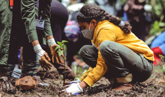 Sustainability Process in Abreu Events Portugal