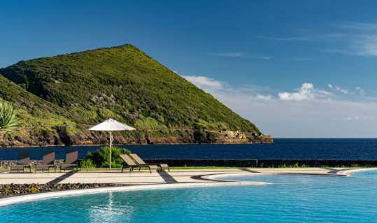 Beauty of the Azores Lilac Island