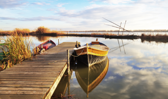Grand setting of L’Albufera