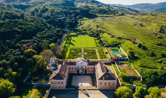 Sofia's Insights about magical palace