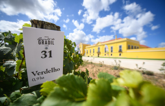 Lisbon's Sophisticated Wine Haven Heart of Lisbon’s Wine Region