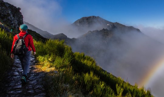 Nature Festivity 2018