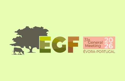 EGF 2026 Encontro Geral EGF com Organização Abreu Events