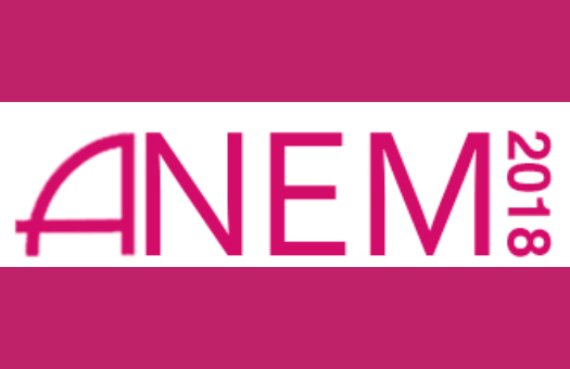Conference in Australia ANEM2018