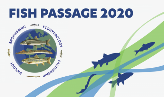 Fish Passage 2020
