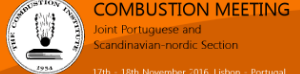 Joint Portuguese and Scandinavian-nordic Section Combustion Meeting