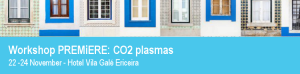 Workshop PREMiERE: CO2 plasmas