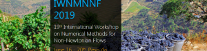 IWNMNNF 2019 - 19th International Workshop on Numerical Methods for Non-Newtonian Flows 