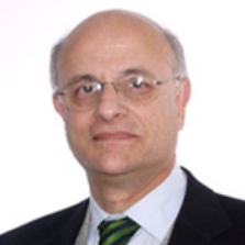 Prof. Dinar Camotim